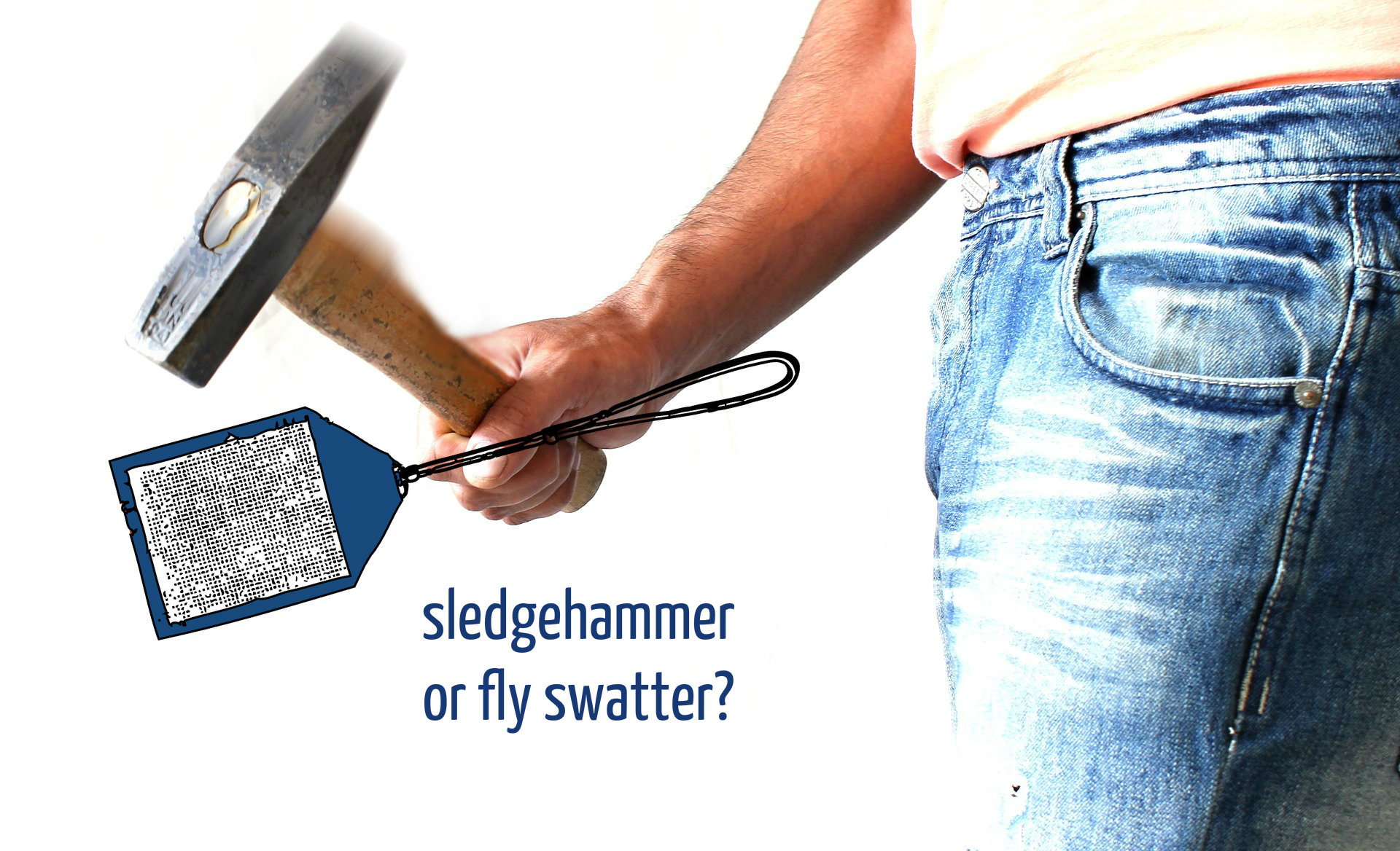 sledgehammer or fly swatter Conexus Counselling Winnipeg, MB