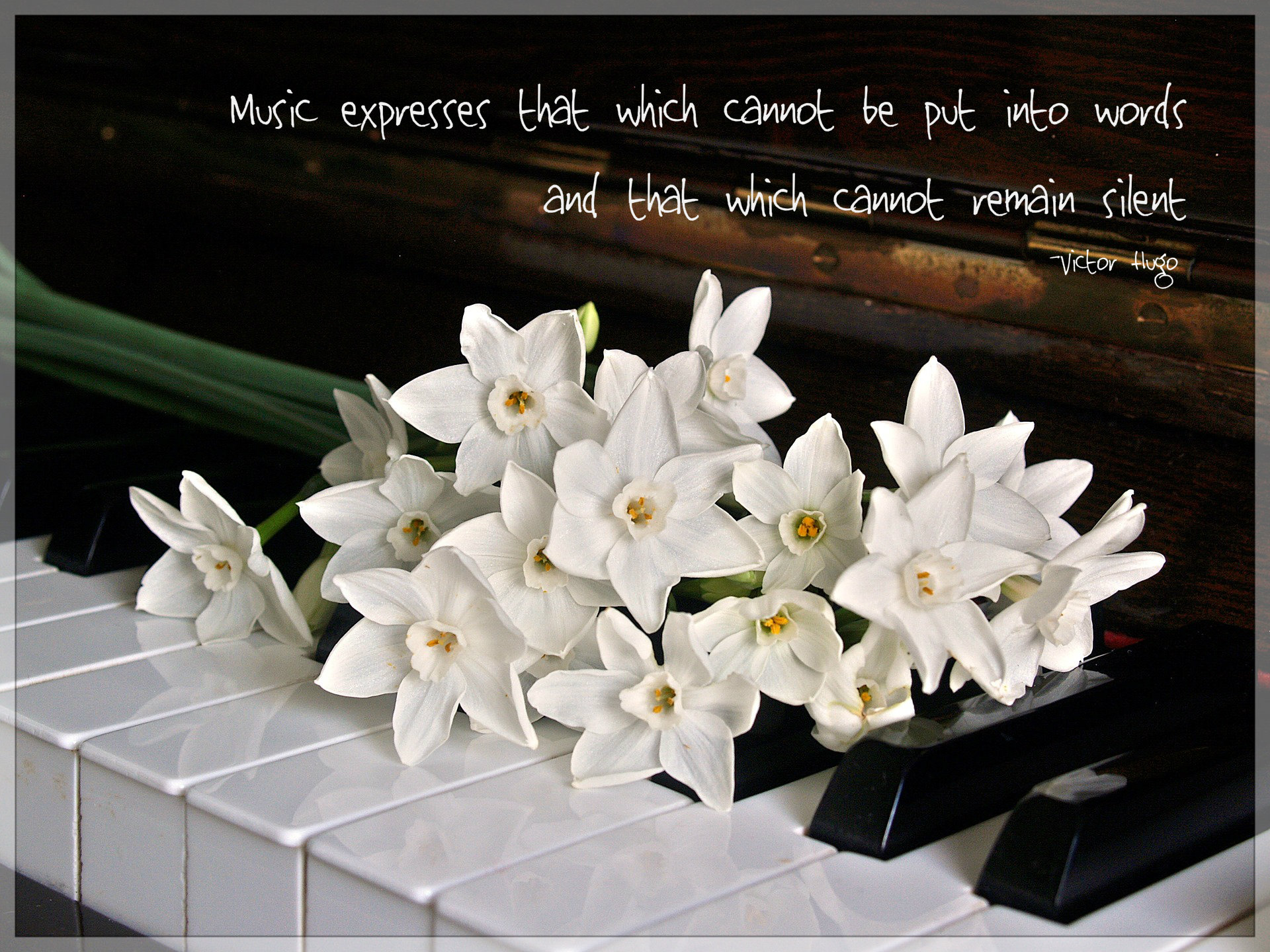 Music expresses that which cannot be put into words and that which cannot remain silent Quote by Victor Hugo