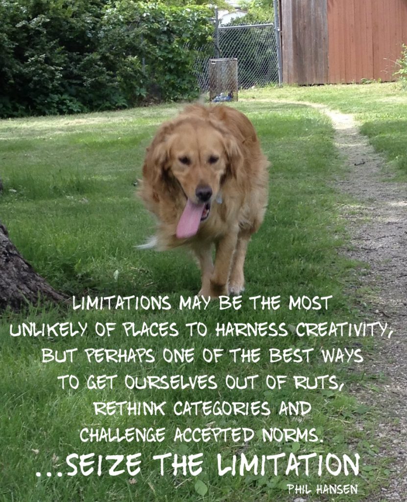 Limitations may be the most unlikely of places to harness creativity, but perhaps one of the best ways to get ourselves out of ruts, rethink categories and challenge accepted norms. Quote by Phil Hansen