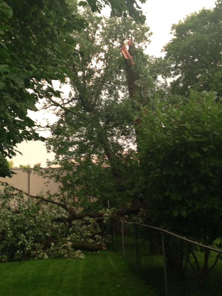 The tree is hit by lightening. Out of control and scary but giving us more light