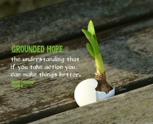 Grounded hope...the understanding that if you take action you can make things better. Quote from Sheryl Sandberg's book, Option B on blog about Husband's and my's first lunch together.