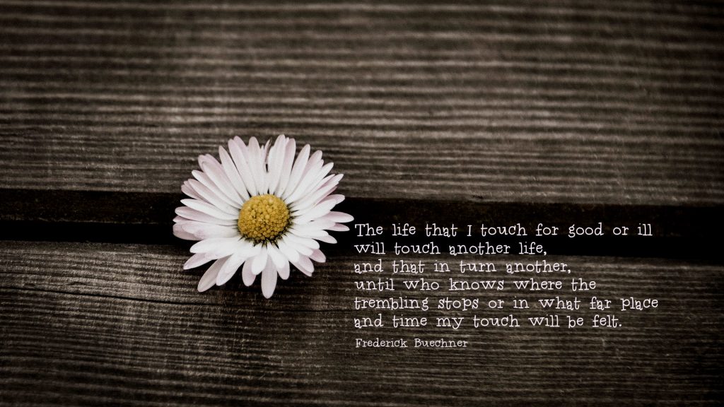 The life that I touch for good or ill will touch another life, and that in turn another, until who knows where the trembling stops or in what far place and time my touch will be felt. Quote by Frederick Buechner on blog about Janna Hope's sweet 16 birthday