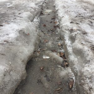 picture of a deep rut in my back lane...it is deep because it is in the shadows where it can't melt