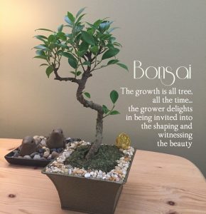 Bonsai: The growth is all tree all the time, the grower delights in shaping and witnessing