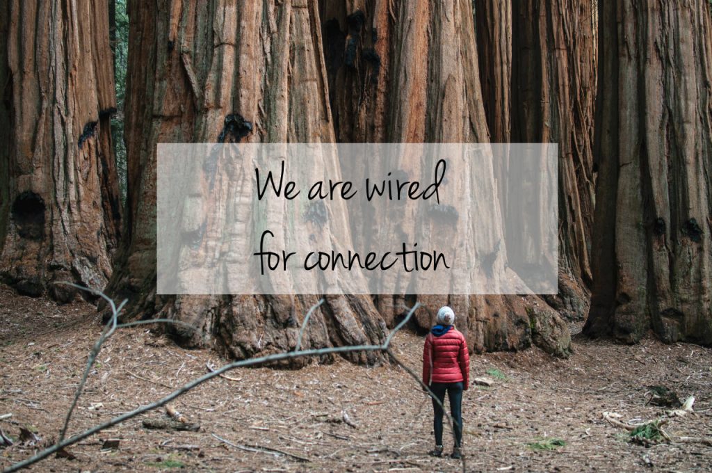 We are wired for connection. Woman gazing admiringly at Sequoia Trees. The tagline of Carolyn Klassen's TEDxWinnipeg talk