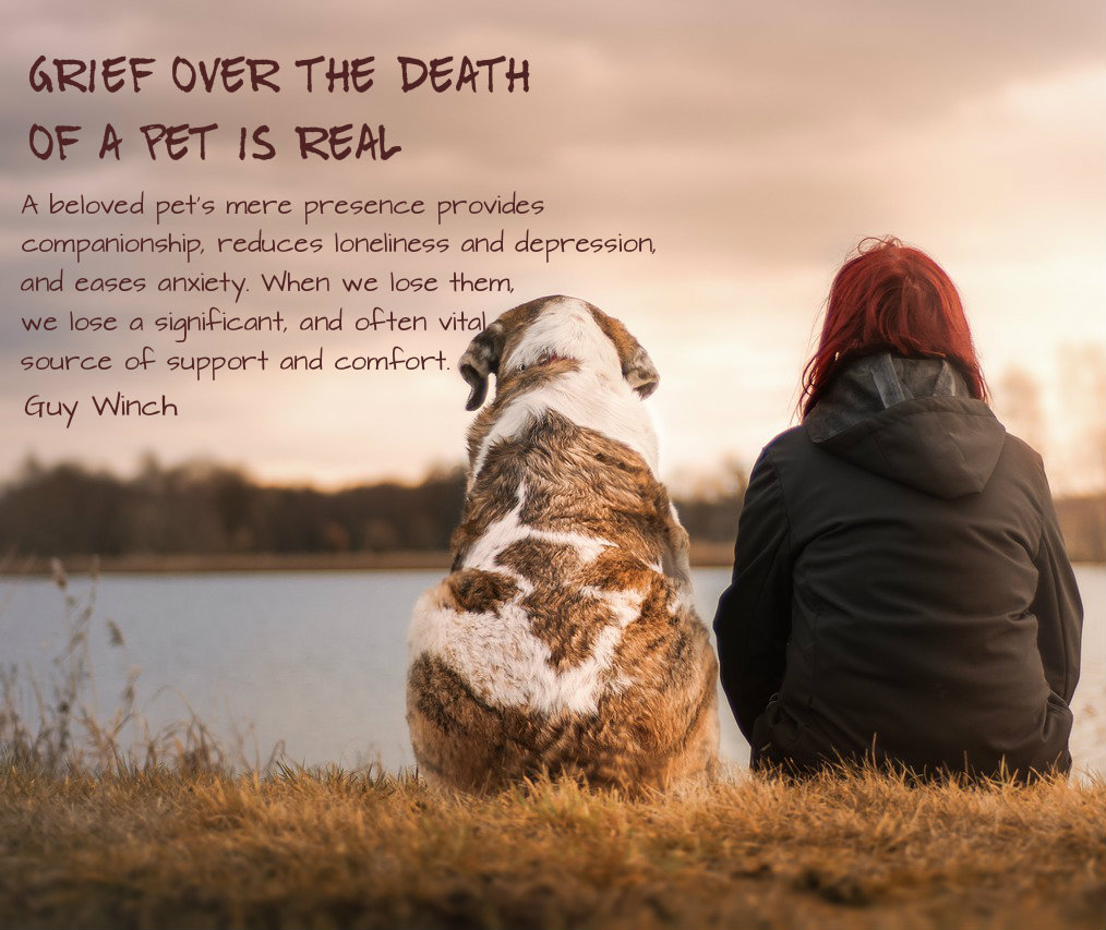 What To Do For A Grieving Pet Owner