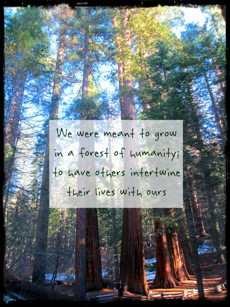 We were meant to grow in a forest of humanity. to have lives intertwine with our. On blog re: TEDx talk Learning from the sequoias 