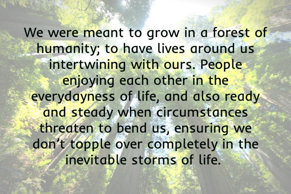 We were meant to grow in a forest of humanity, ready and steady for the storms of life