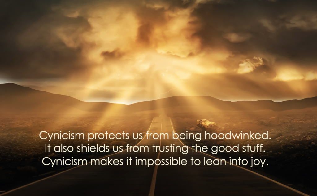 Cynicism protects us from being hurt...it also makes it impossible to trust, to lean into joy.