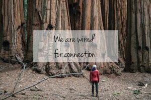 We are wired for connection
