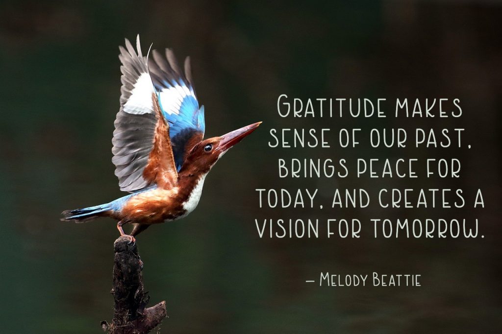 Gratitude makes sense of our past, brings peace for today, and creates a vision for tomorrow.” – Melody Beattie