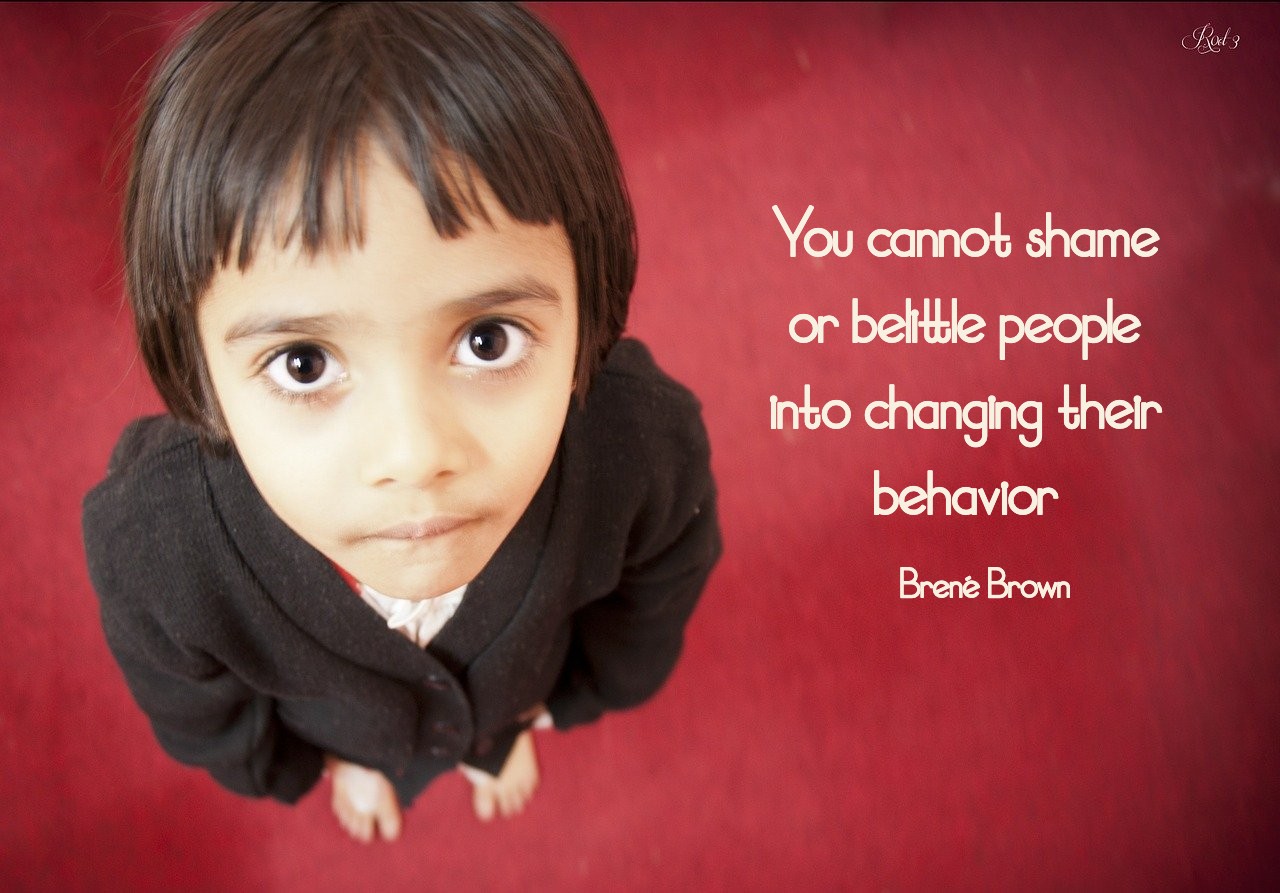 You cannot shame or belittle people into changing their behavior. Brené Brown