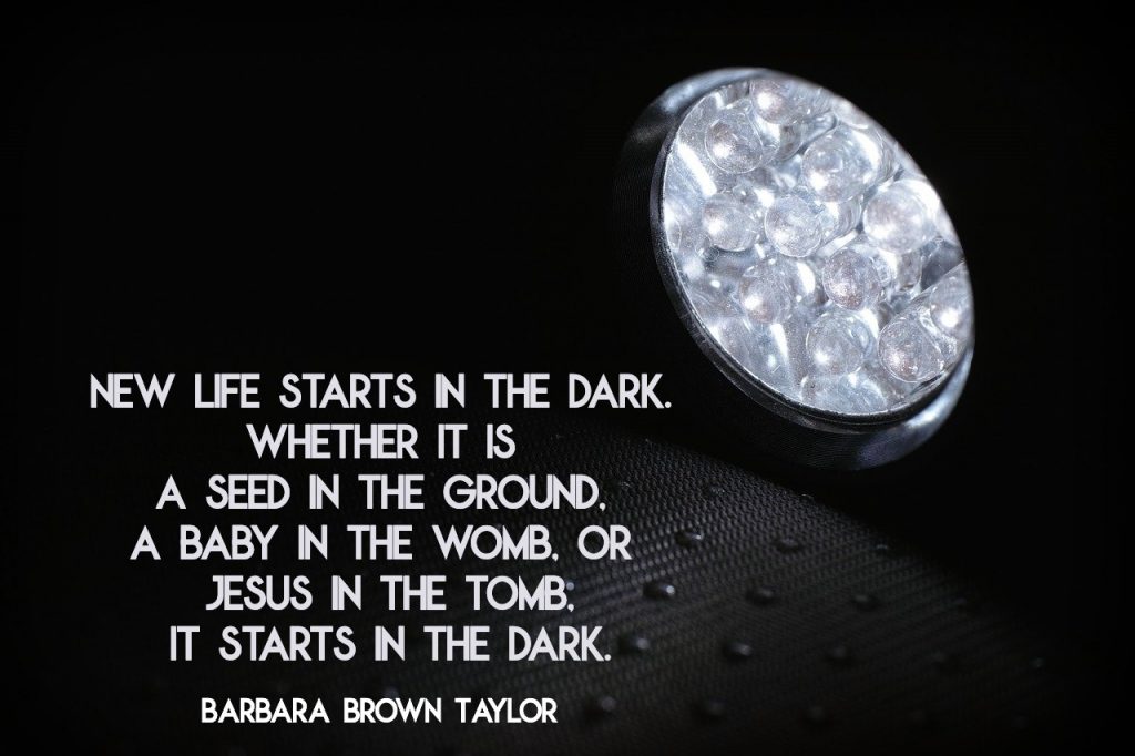 new life starts in the dark. Whether it is a seed in the ground, a baby in the womb, or Jesus in the tomb, it starts in the dark. Barbara Brown Taylor