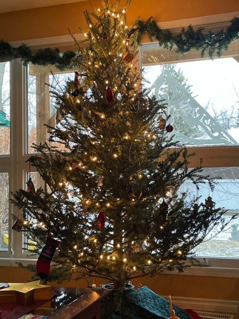 A simple tree with a few decorations and no star to reflect the season