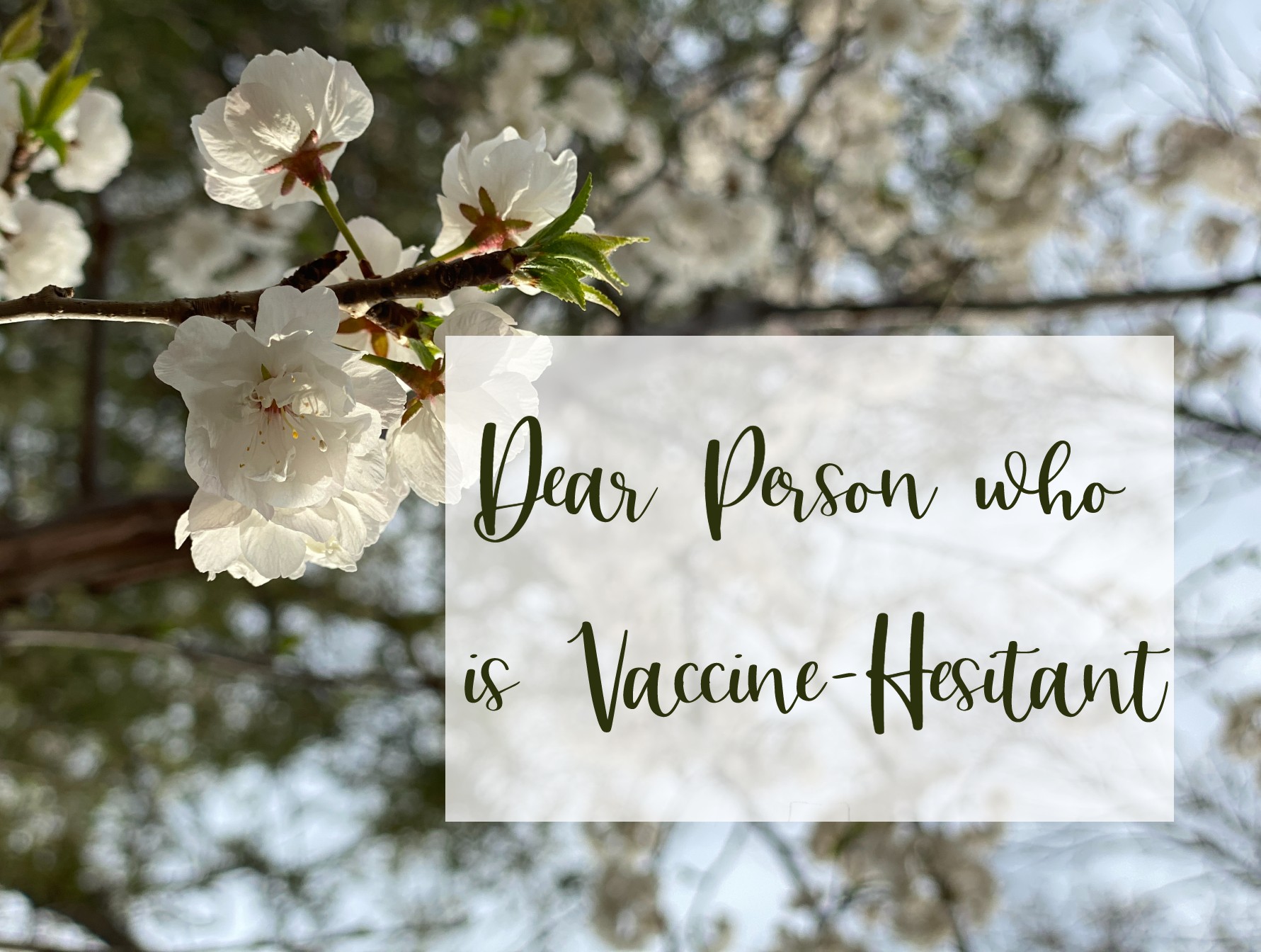 Dear Person who is vaccine hesitant. on background of flowering tree