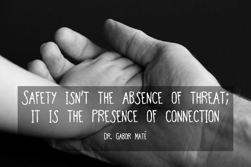 Safety isn't the absence of threat; it is the presence of connection